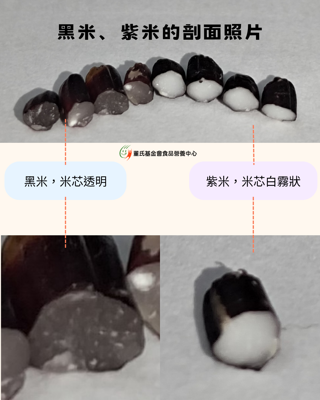 黑米與紫米 (6)